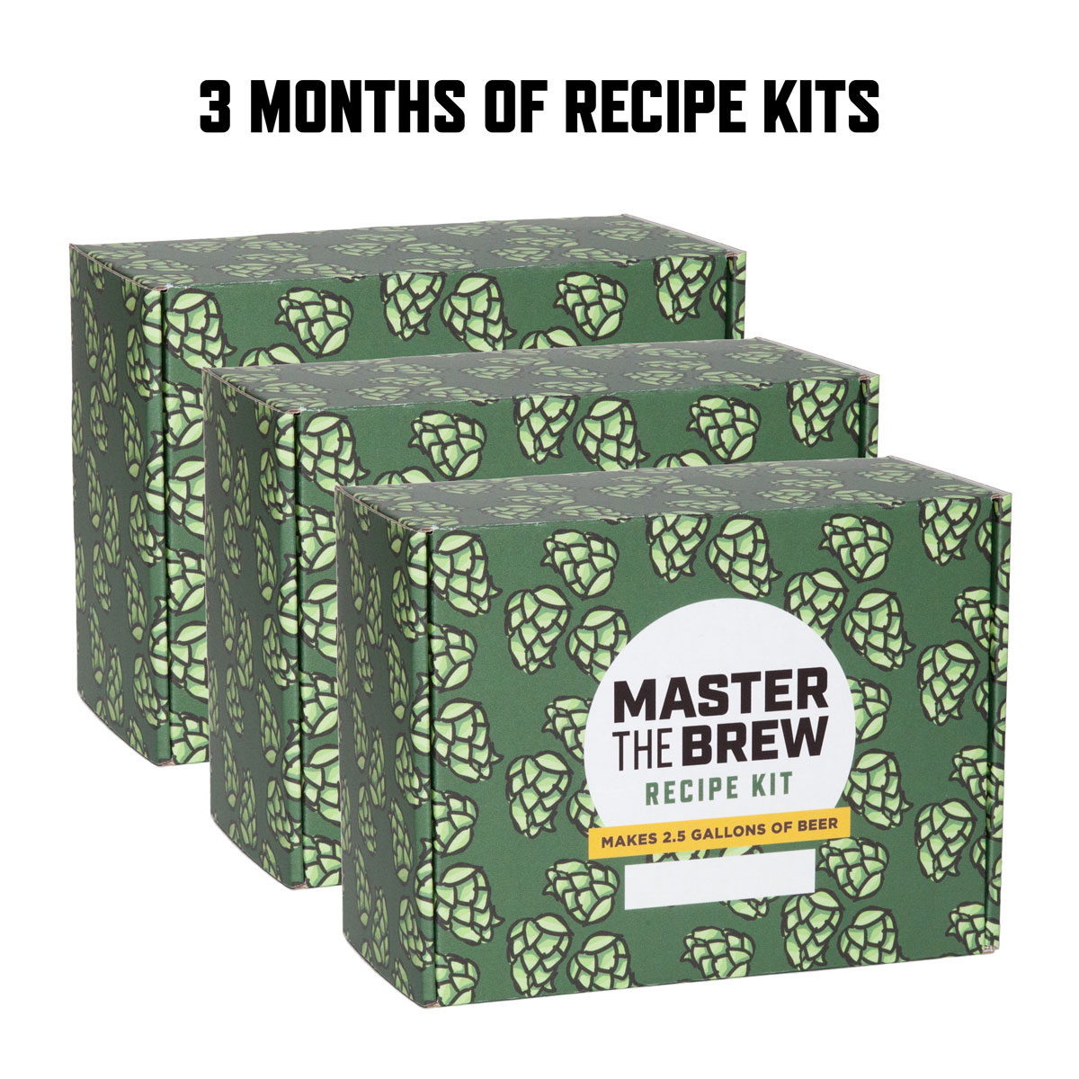 3 months of Master the Brew Recipe Club